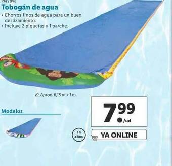 Lidl Playtive Tobogán De Agua oferta