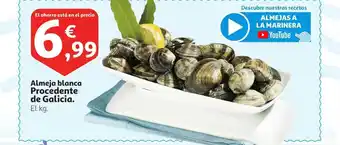 Alcampo Almeja Blanca Procedente De Galicia oferta