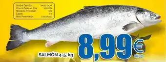 FROIZ Salmón 4-5 oferta