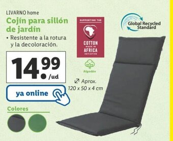 Lidl Livarno Home Cojín Para Sillón De Jardîn oferta