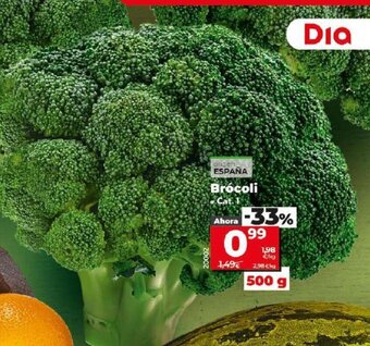 Dia Brocoli oferta