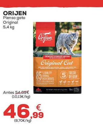 Kiwoko Orijen pienso gato original oferta