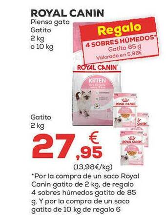 Kiwoko Royal canin pienso gato gatito oferta