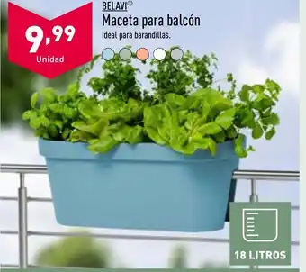 ALDI Maceta Para Balcón oferta