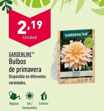 ALDI Bulbos de Primavera oferta