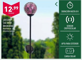 ALDI Luz Solar Decorativa oferta