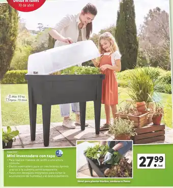 Lidl Mini Invernadero Con Tapa oferta