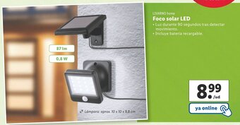 Lidl Foco Solar LED oferta
