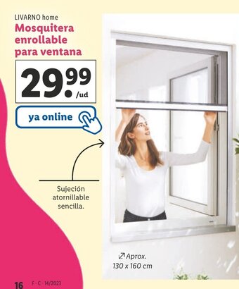 Lidl Mosquitera Enrollable Para Ventana oferta