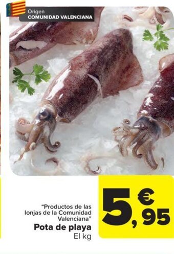 Carrefour Pota De Playa oferta