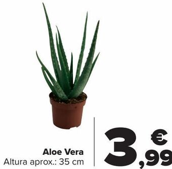 Carrefour Aloe vera oferta