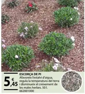 Fes Més Corteza pino oferta
