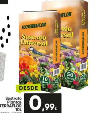 Family Cash Sustrato Plantas Ecoterraflor 10L oferta