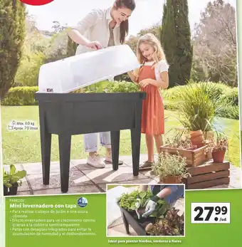 Lidl Invernadero parkside oferta