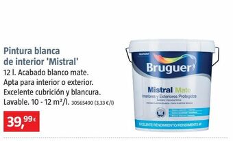 Bauhaus Pintura oferta