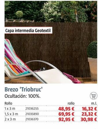 Bauhaus Brezo oferta