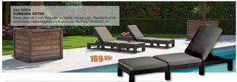 Ferrcash Tumbonas oferta