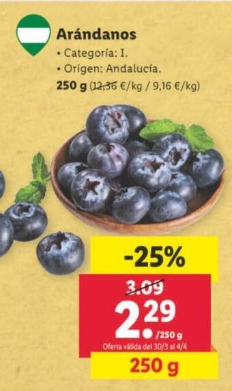 Lidl Arándanos oferta