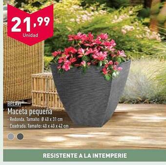 ALDI Belavi maceta pequeña oferta