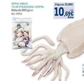 Makro Sepia india 13-20 piezas kg limpia oferta