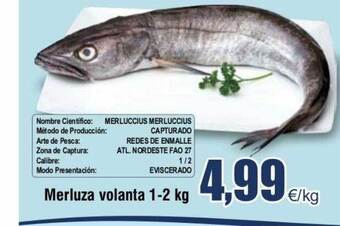 FROIZ Merluza volanta oferta