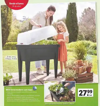 Lidl Parkside mini invernadero con tapa oferta