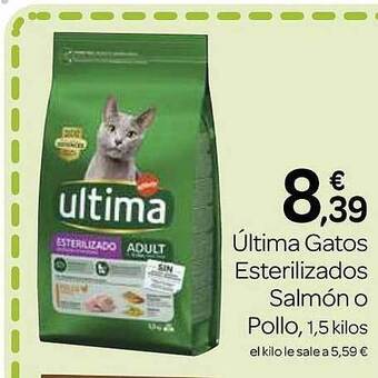 Supermercados El Jamón Última gatos esterilizados salmón o pollo oferta