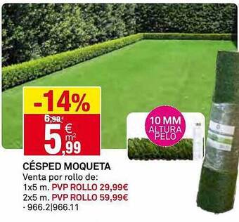 Bricoking Césped moqueta oferta