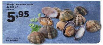 Alimerka Almeja de cultivo oferta