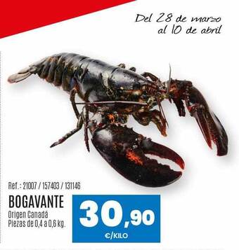 Makro Bogavante oferta