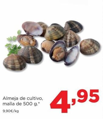 Alimerka Almejas de cultivo oferta