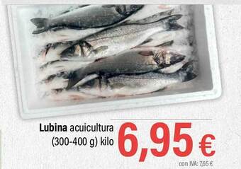 Cash Ifa Lubina acuicultura oferta