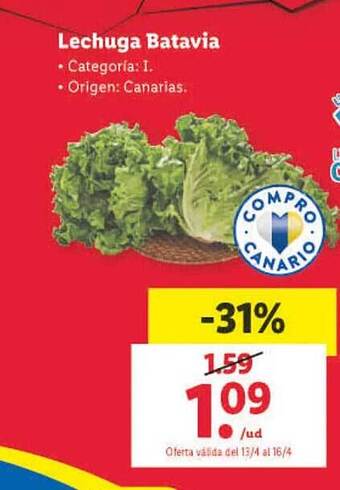 Lidl Lechuga batavia oferta