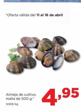 Alimerka Almeja de cultivo oferta
