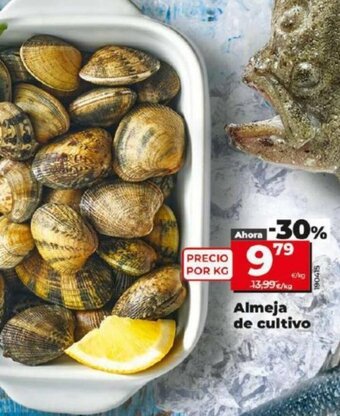 La Plaza de DIA Almeja de Cultivo oferta