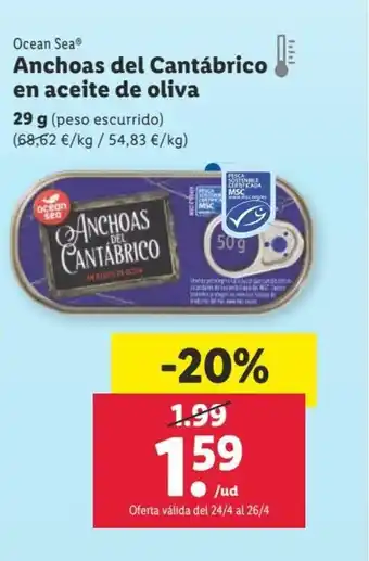 Anchoas Del Cantábrico En Aceite de Oliva