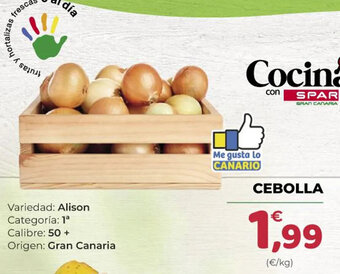 SPAR Gran Canaria Cebolla oferta