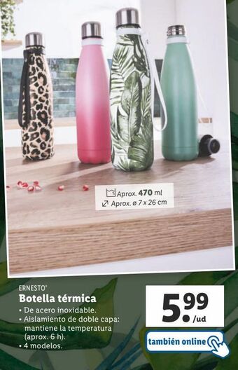 Lidl Botella de agua ernesto oferta