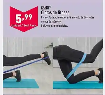ALDI Crane cintas de fitness oferta