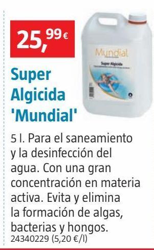 Bauhaus Superalgicida super mundial 5l oferta