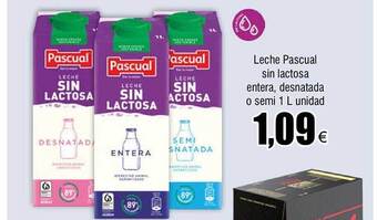 FROIZ Leche pascual sin lactosa entera, desnatada o semi oferta