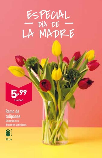 ALDI Ramo de Tulipanes oferta