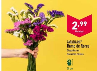 ALDI Gardenline Ramo de Flores oferta