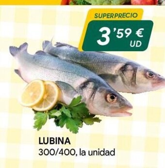 Masymas Lubina oferta
