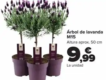Carrefour Árbol de lavanda m15 oferta
