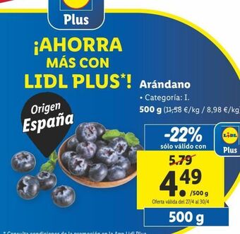 Lidl Arándanos oferta