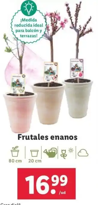 Lidl Frutales Enamos oferta