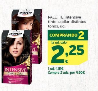 HiperDino Tinte de pelo palette oferta