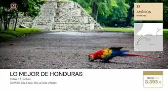 Tui Travel PLC (c lo mejor de honduras 9 días / 7 noches san pedro sula, copán, tela, la ceiba y roatán 33 américa honduras bed rostá oferta