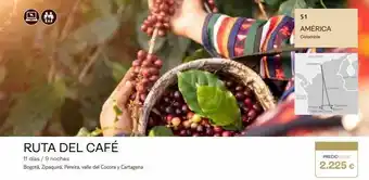 Tui Travel PLC Ruta del café 11 días / 9 noches bogotá, zipaquirá, pereira, valle del cocora y cartagena 51 américa colombia heche cart oferta